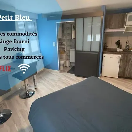 Apartment Le Petit Bleu Centre - Wifi - Parking